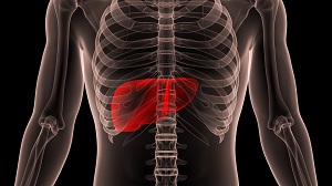 丙型肝炎影像
